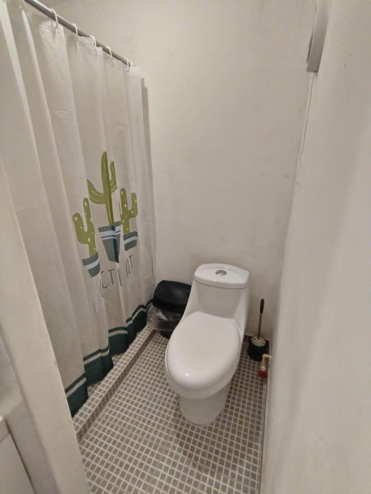 Homestay Cupa C Mexico City